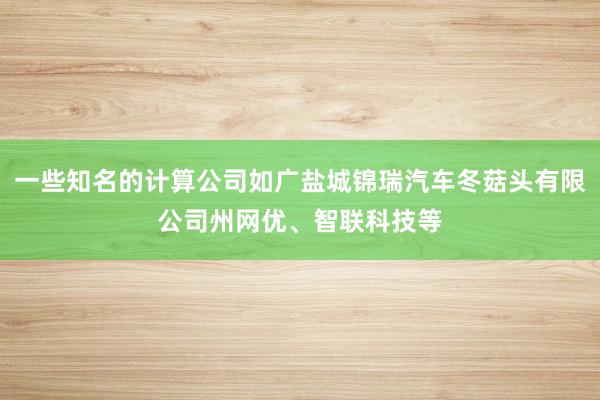 一些知名的计算公司如广盐城锦瑞汽车冬菇头有限公司州网优、智联科技等